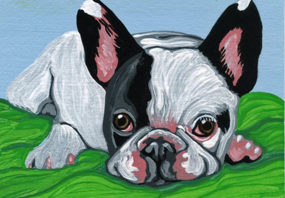 ACEO ATC Original Miniature Painting Pied French Bulldog Pet Dog Art-Carla Smale