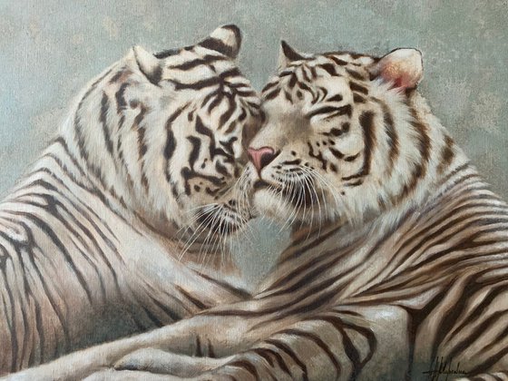 Bengal tigers