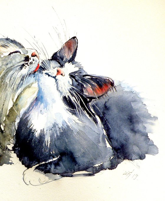 Cats