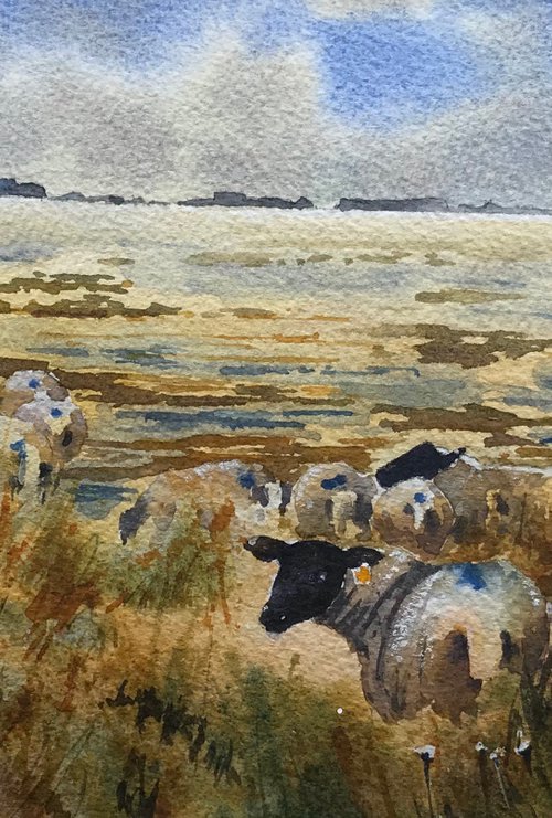 Salt marsh lamb by Vicki Washbourne