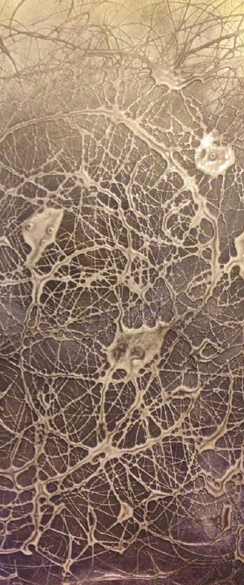 Lace Two by Carol Zsolt