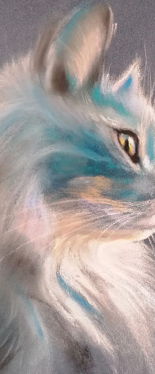 Frost, cat's portrait by Susana Zarate Harris