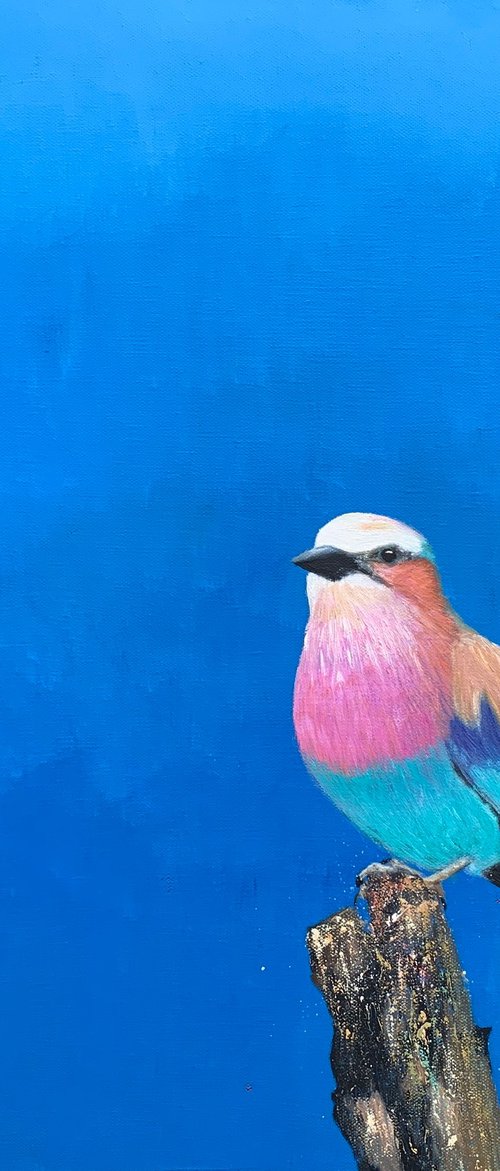 Lilac Breasted Roller by Laure Bury
