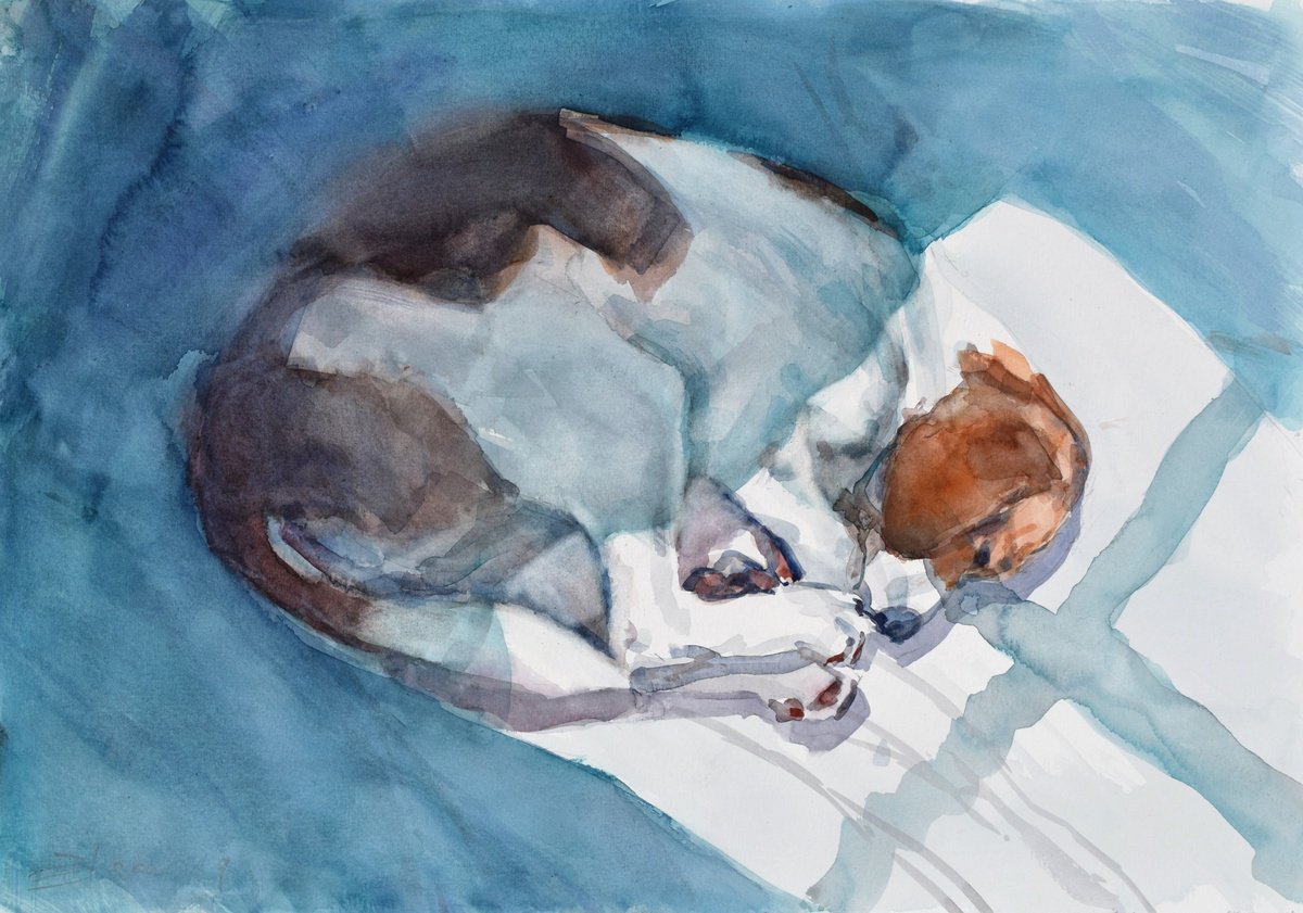 Expressive Animal Watercolour By Goran Zigolic Watercolors, 20 X 14, Deep Sleeping Dog Ii...., Original Artwork