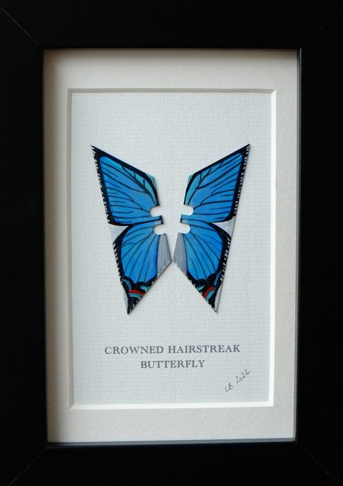 Crowned Hairstreak butterfly by Lene Bladbjerg
