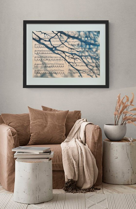 Silhouette Shadow of an Autumn Tree Branch