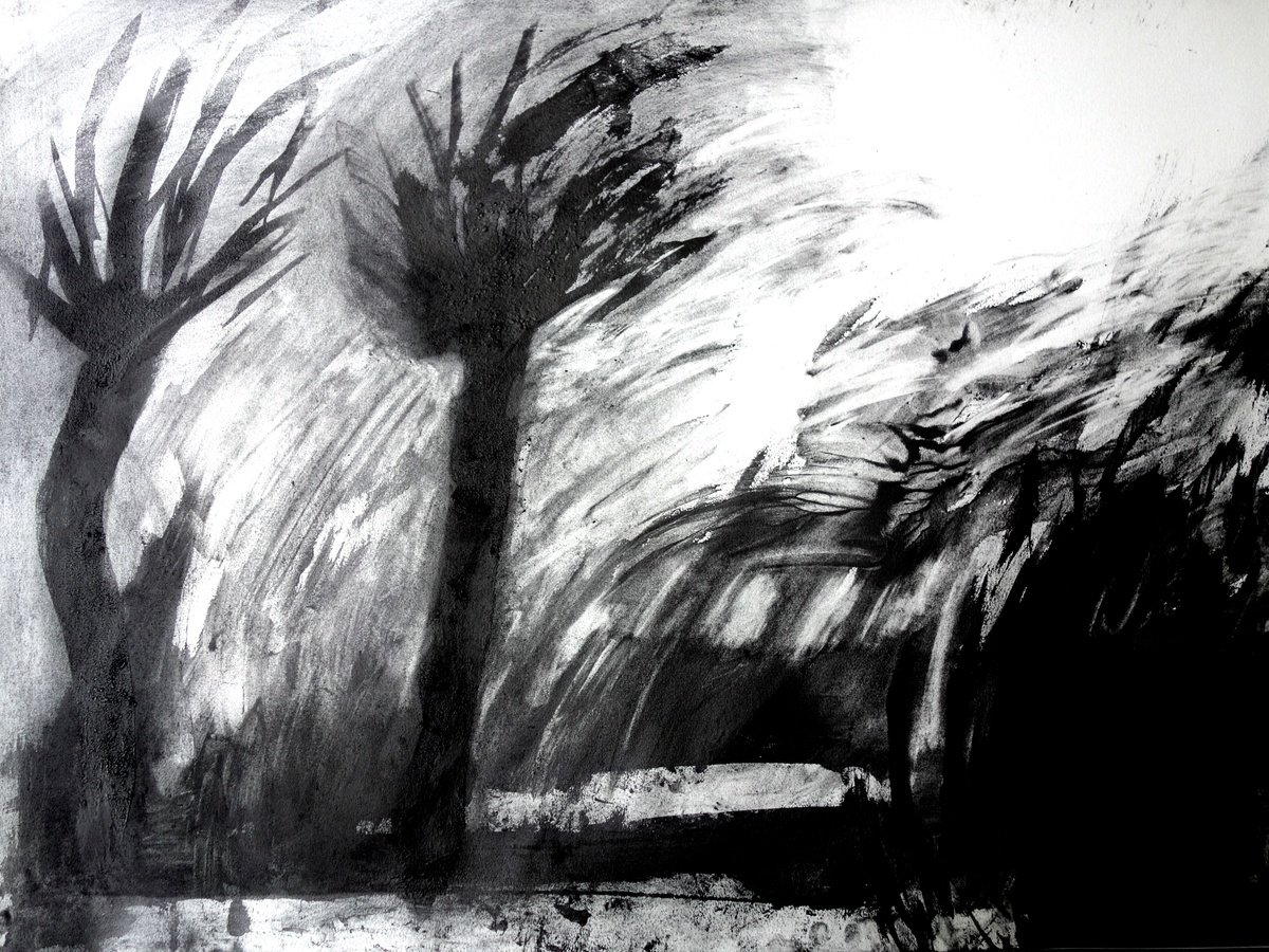 Abstract Landscape Charcoal Drawing By Elizabeth Anne Fox, 28 X 20, Kew Storm, Original Artwork
