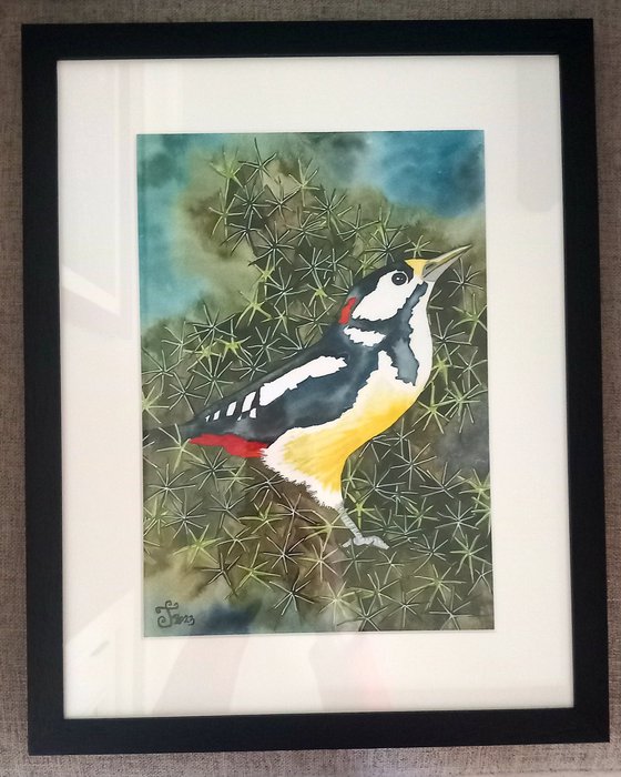 Spotted Woodpecker