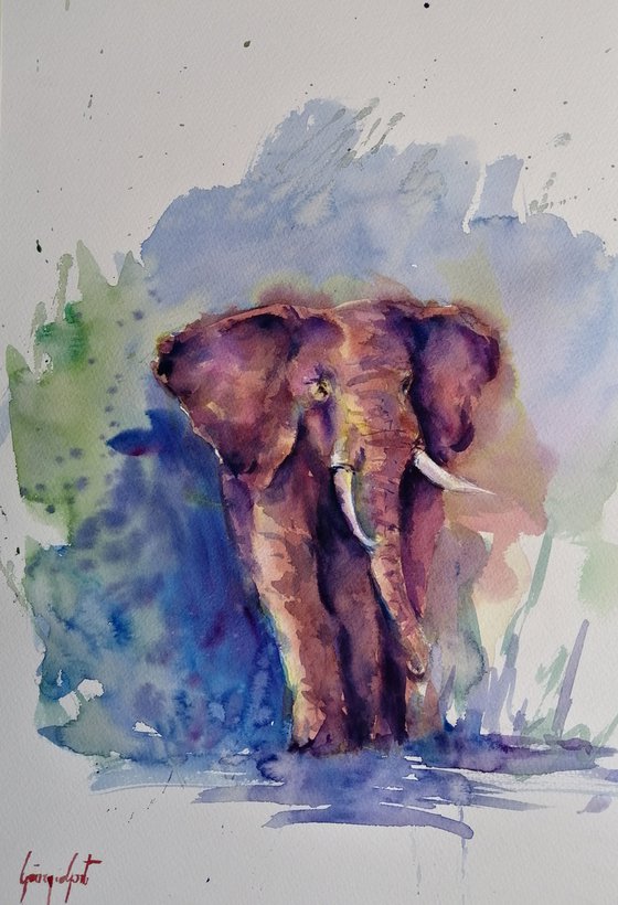 elephant 12