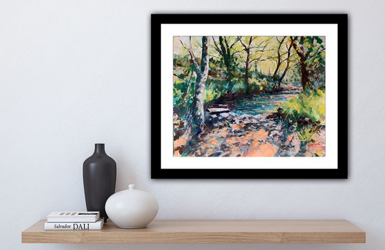 Morning Light on Woodland Stream