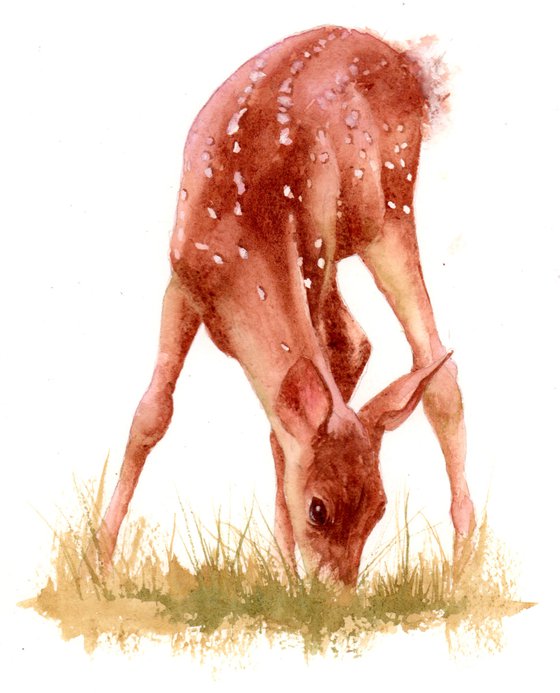 Watercolour Deer - Original Deer Watercolor