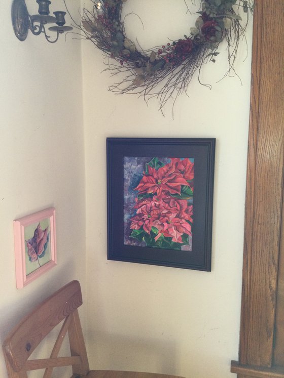 Pink & Red Poinsettia