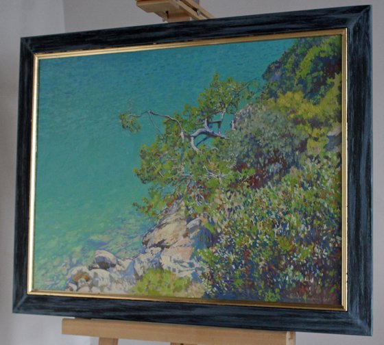 Pine in the Blue Lagoon