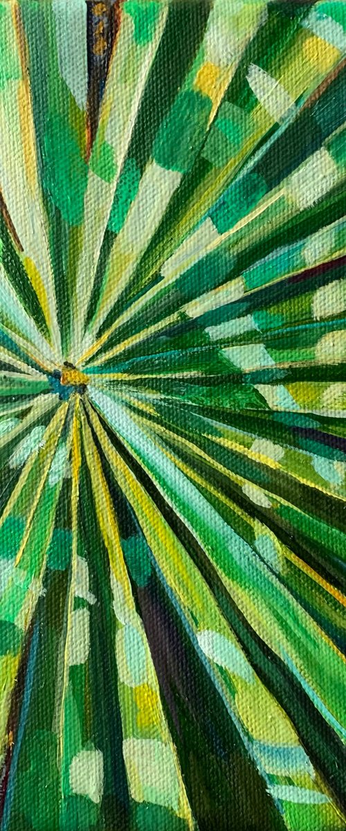 Green leaf of Palm by MOMALYU