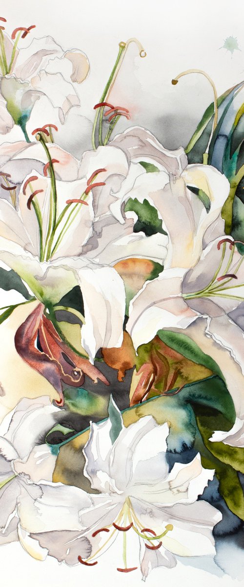 Lilies No. 18 by Elizabeth Becker