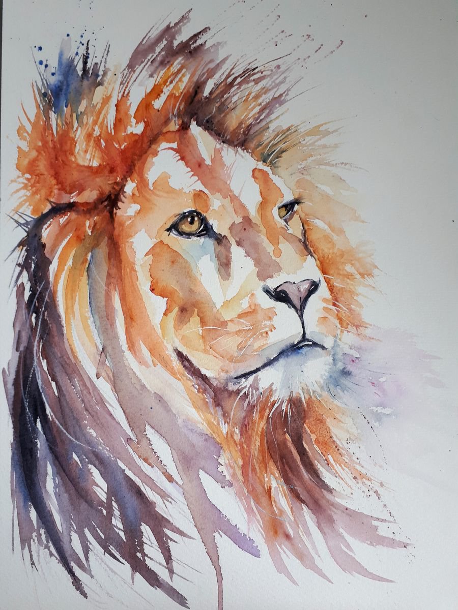 King of the Jungle by Sue  Green