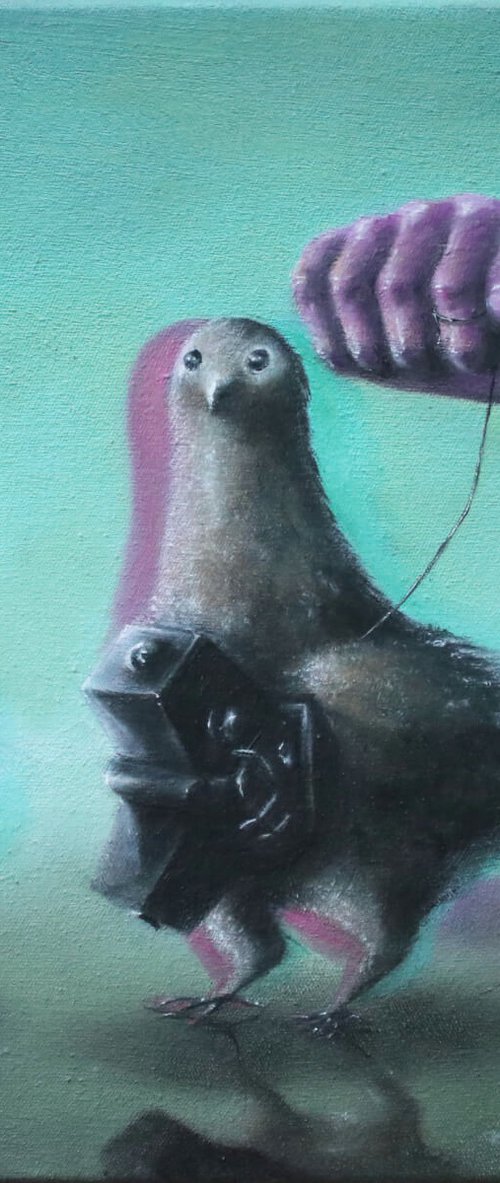 Spy Pigeon by Vanessa T Stefanova