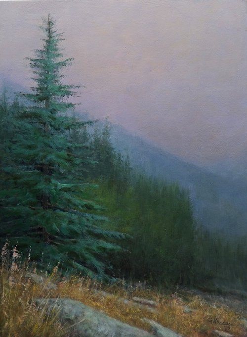 A pine by Gerard Kramer
