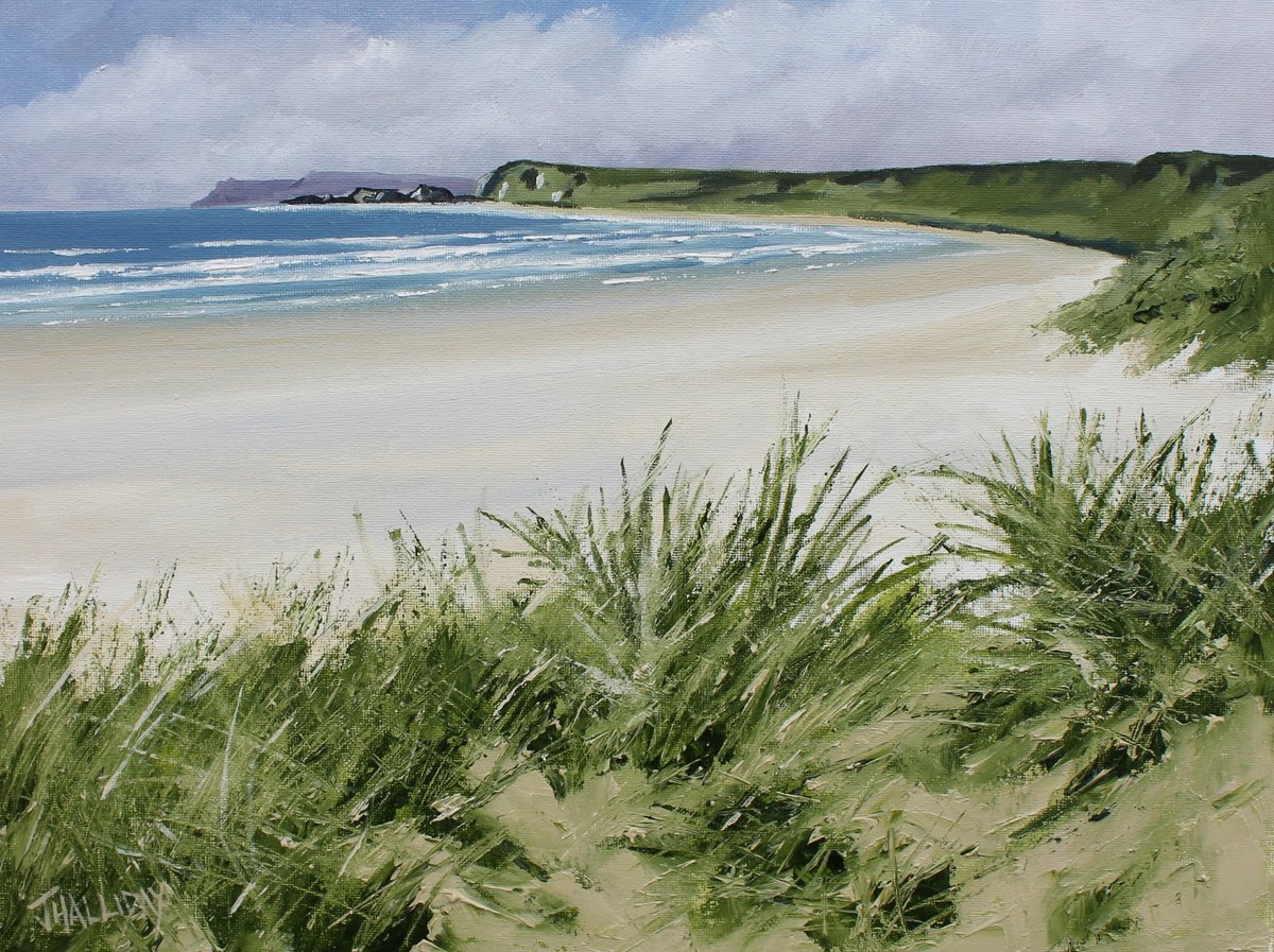 Impressionistic Landscape Oil Painting By John Halliday, 16 X 12, White Park Bay, Ireland 2024, Original Artwork