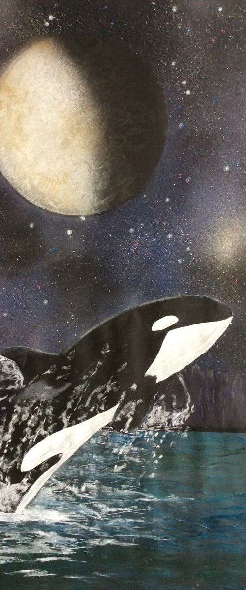 Killer Whale breaching in the moonlight by Ruth Searle