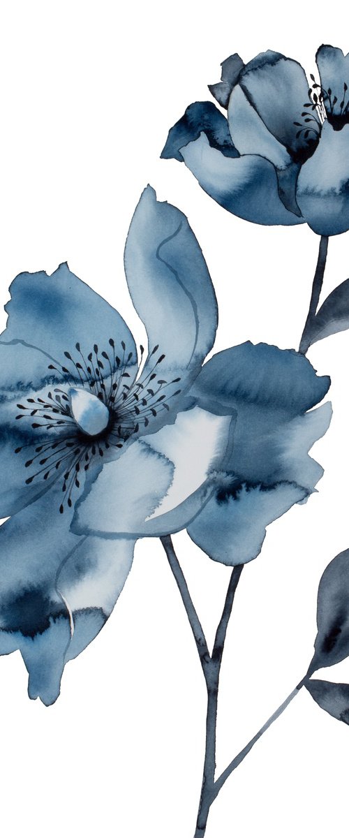 Peony No. 2 by Elizabeth Becker