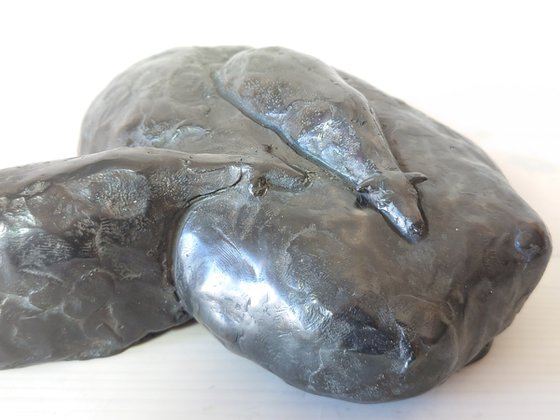 The Flow of the flock