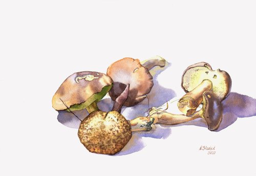 Ukrainian watercolour. Silent hunting. Mushrooms by Nina Zakharova