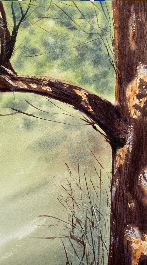 Tree Portrait by Alla Semenova