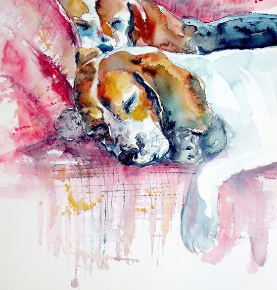 Sleeping dogs