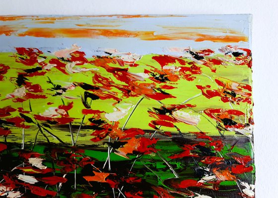 A Meadow Full Of Poppies 1