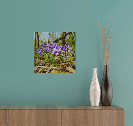 Violets in Spring Forest