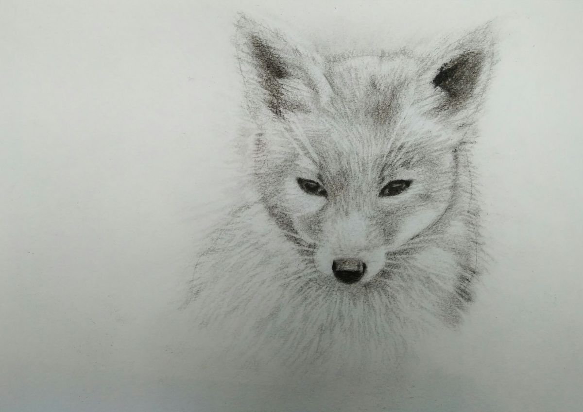 Fox by Yulia Berseneva