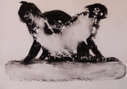 The two cats 1, ink drawing 29x42 cm by Frederic Belaubre