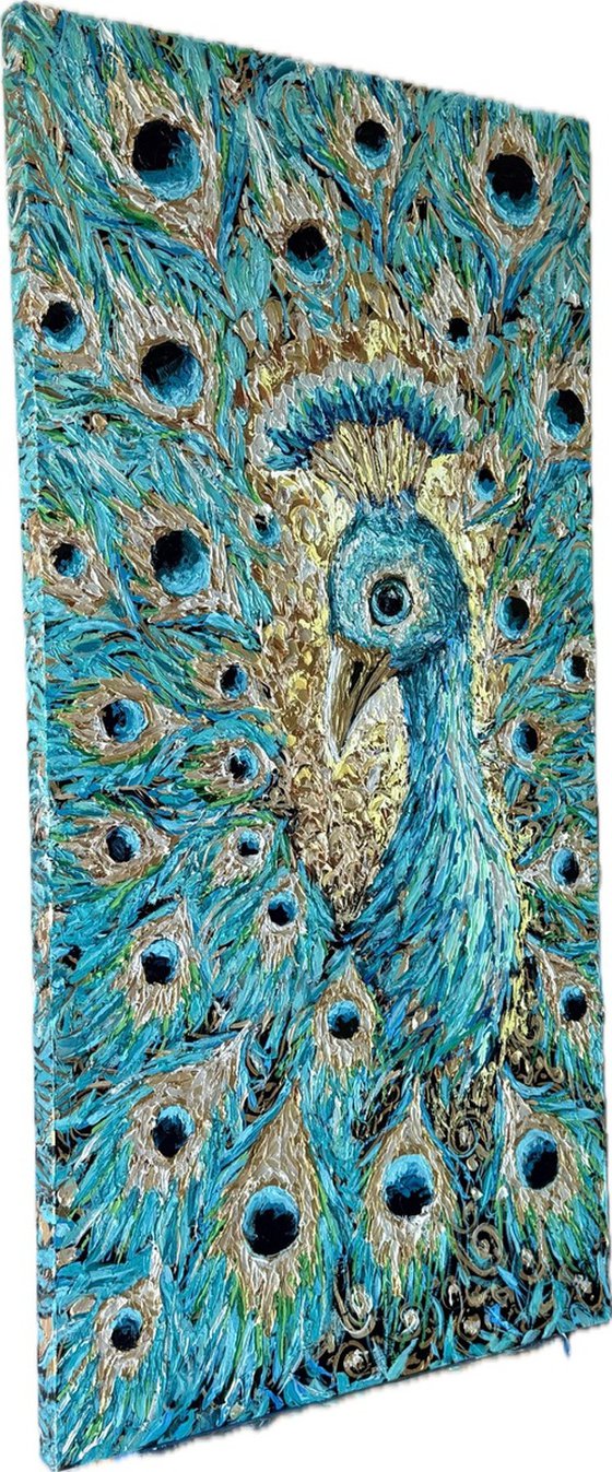 Aqua Peacock