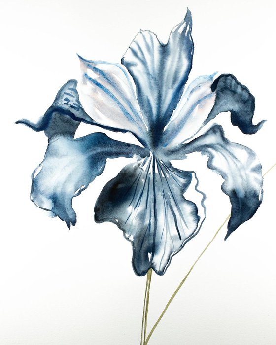 Iris No. 90