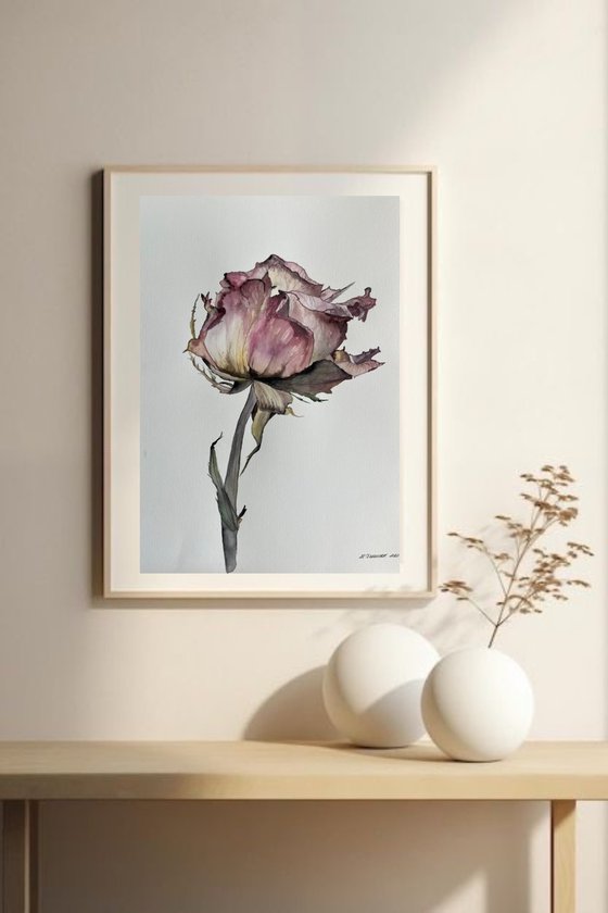 Pink Rose Pastel