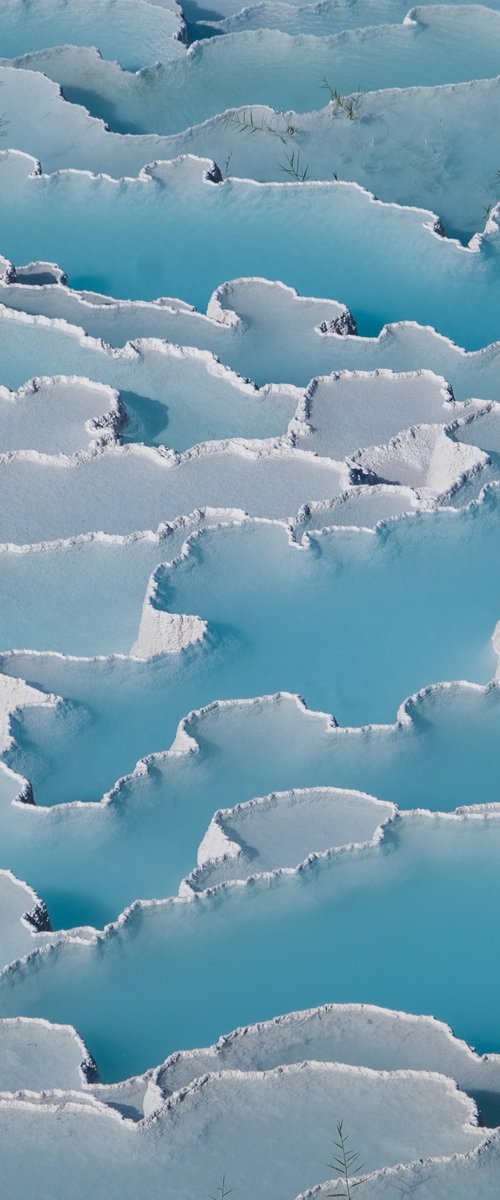 Cotton Castle by Gilliard Bressan