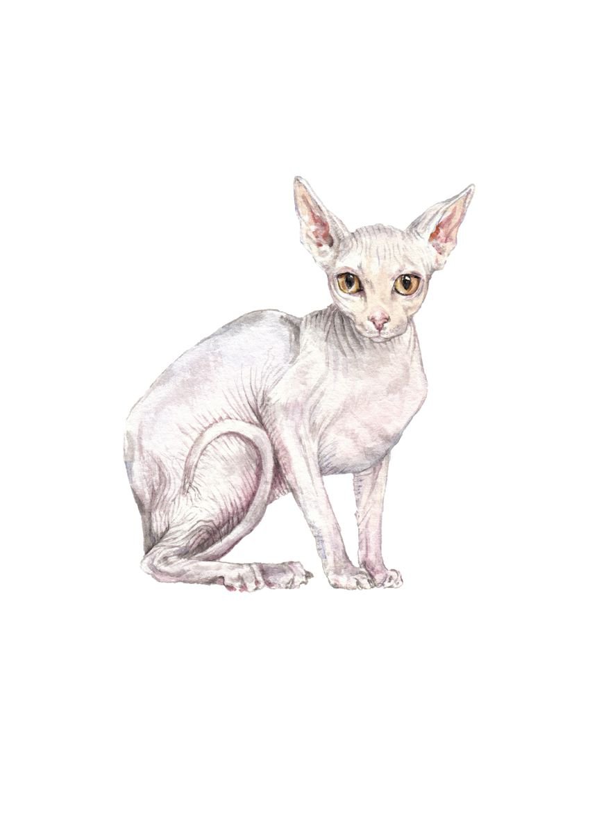 Sphynx Cat Original Watercolor by Lauren Rogoff