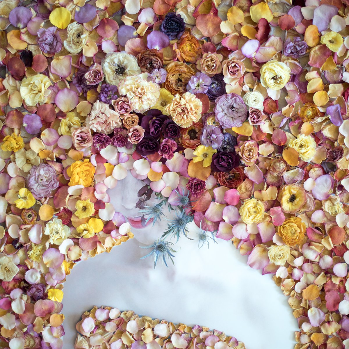 Expressive Portrait Photograph By Ziesook You, 24 X 24", Scent Of Broq-Pa 08042020R, Original Artwork