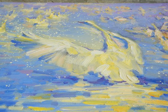 Revelation. White swan