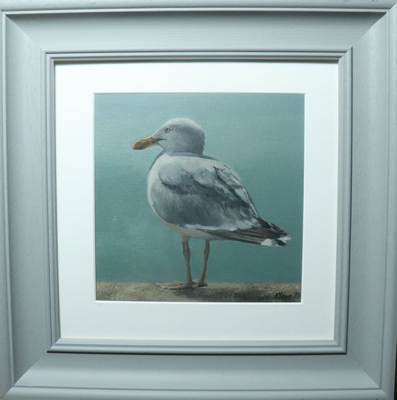 Voices of the Sea Series - Seagull Painting, Bird Art by Alex Jabore