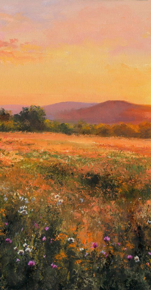 Golden sunset among wildflowers by Lucia Verdejo