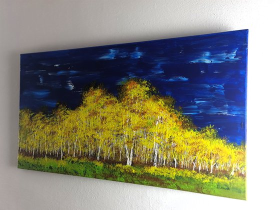 Autumn birch forest
