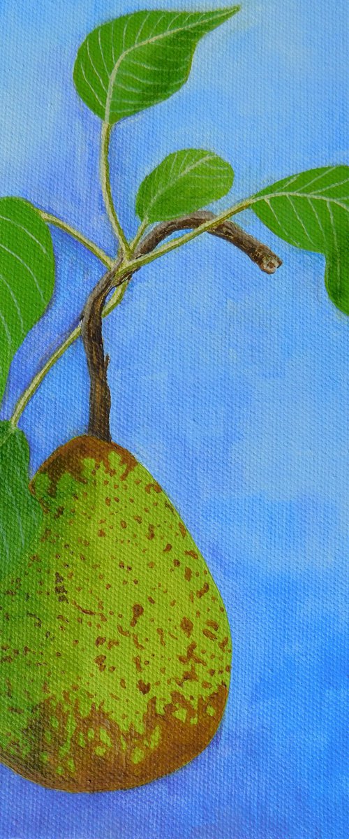 A Conference Pear by Ruth Cowell