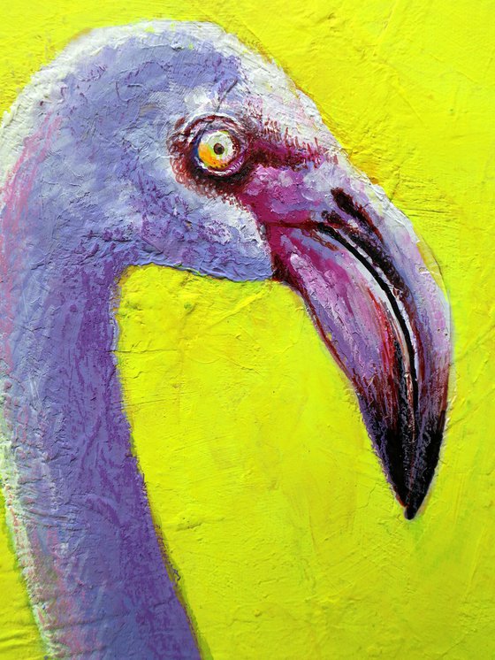 Flamingo 2