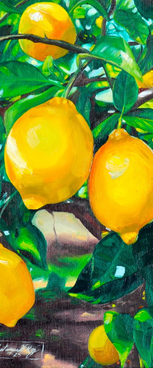 Lemon Tree by Amani Muhammad