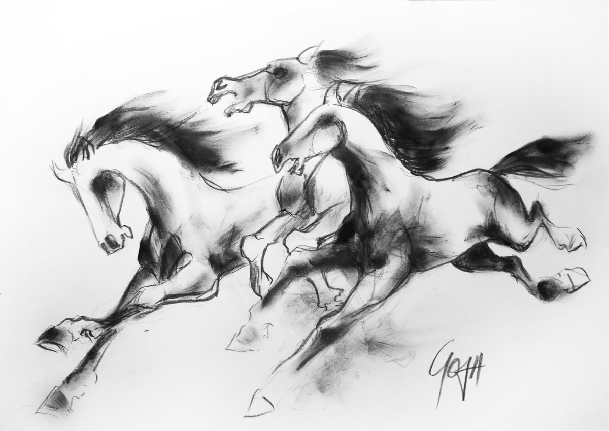 HORSES by Nicolas GOIA