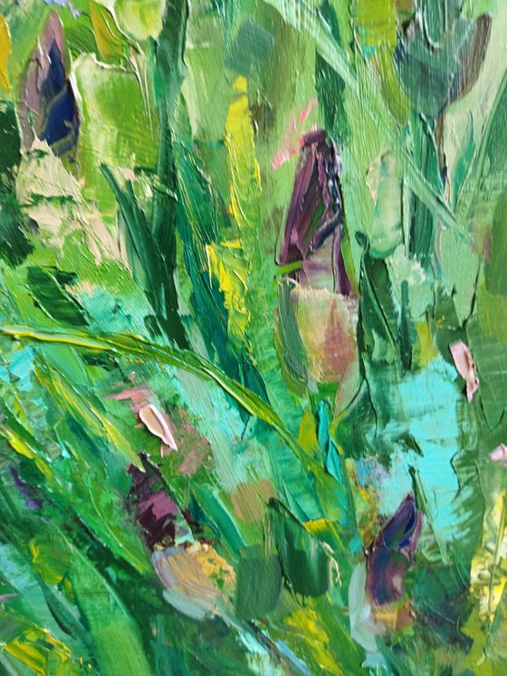 Blush Irises in Bloom