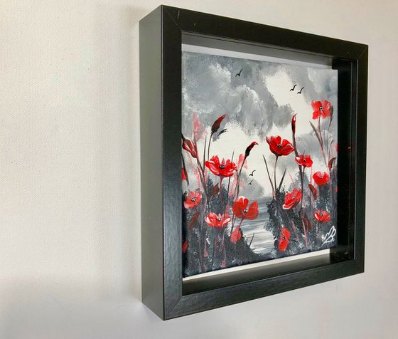 Red Poppies in a black frame