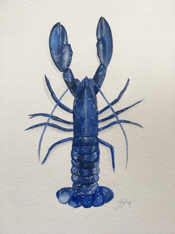 Blue lobster